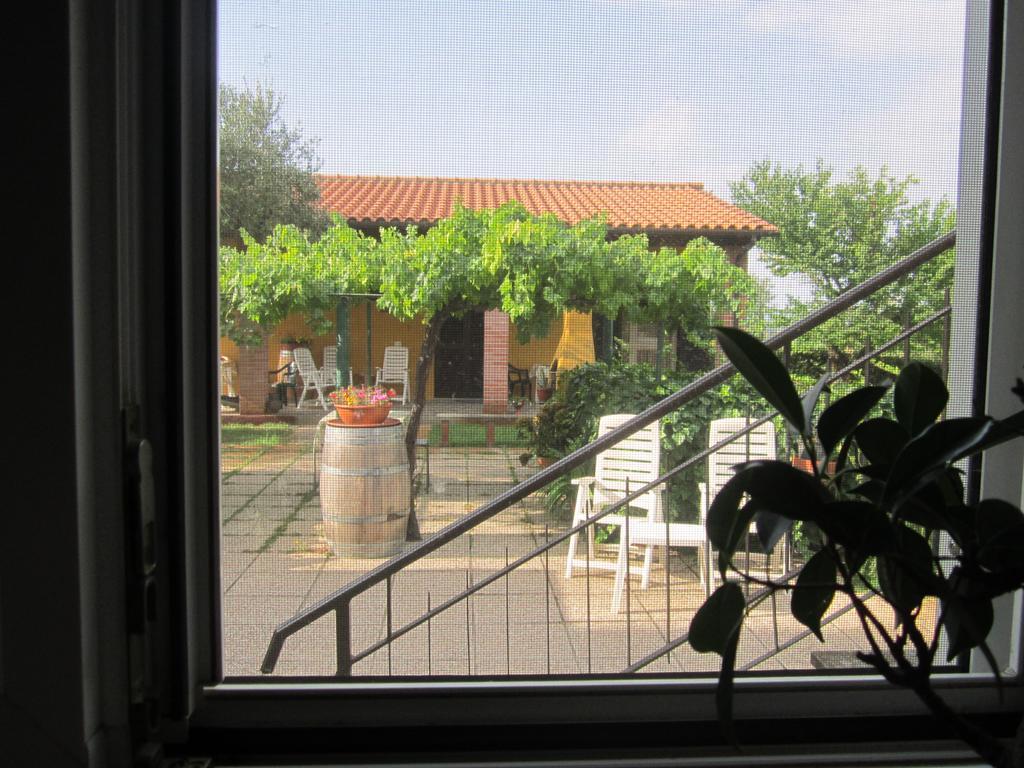 Agriturismo La Carlina Villa Magliano in Toscana Luaran gambar