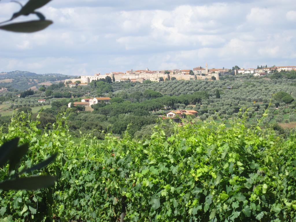 Agriturismo La Carlina Villa Magliano in Toscana Luaran gambar