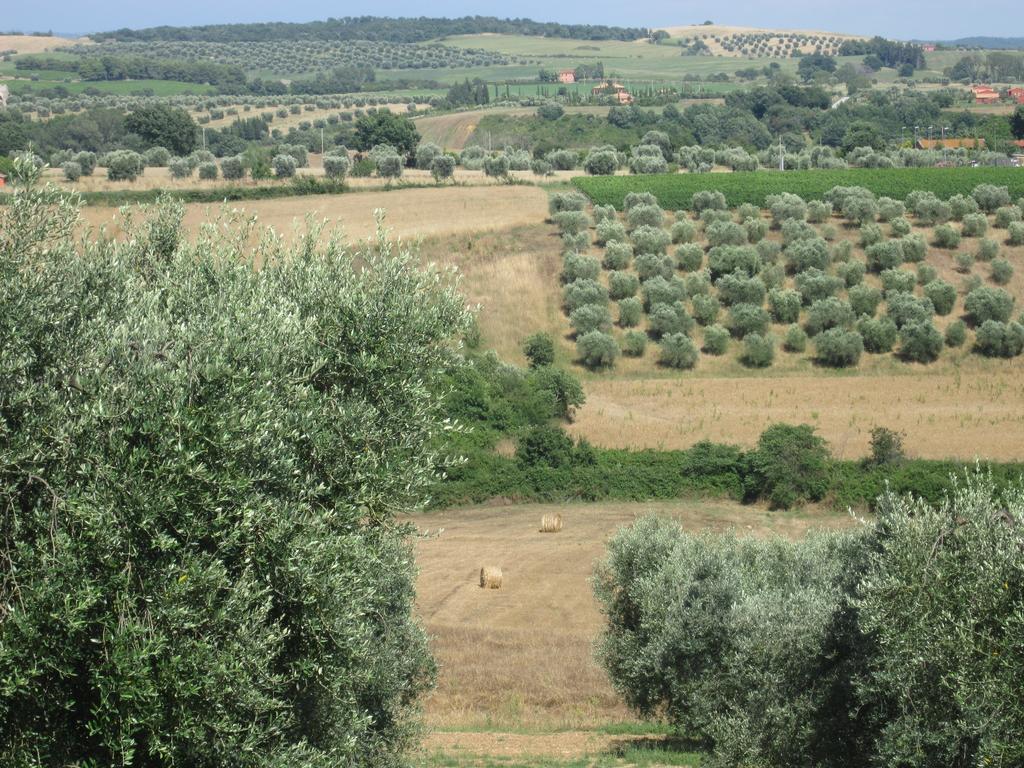 Agriturismo La Carlina Villa Magliano in Toscana Luaran gambar