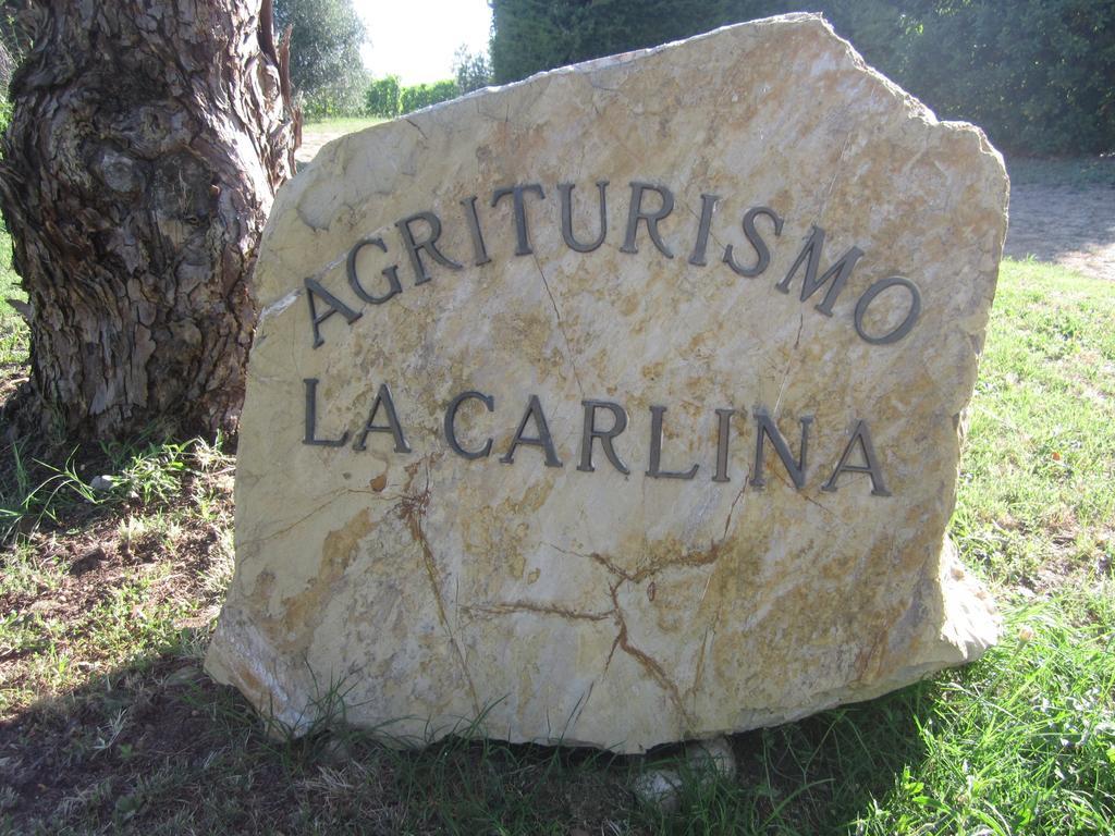 Agriturismo La Carlina Villa Magliano in Toscana Luaran gambar